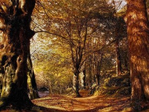 autunno bici